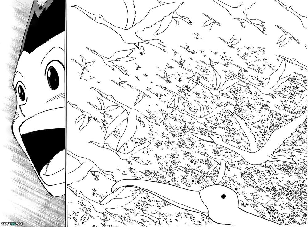 Hunter x Hunter Chap 339 - Next Chap 340