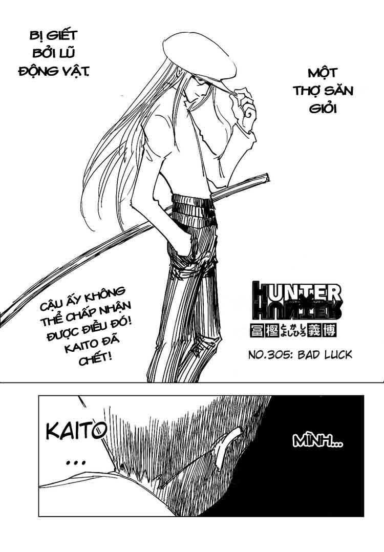 Hunter x Hunter Chap 305 - Next Chap 306