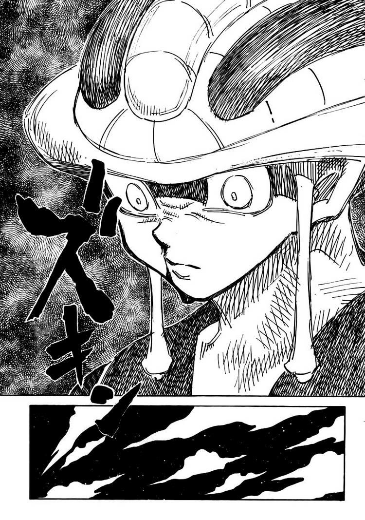 Hunter x Hunter  Chap 310 - Next Chap 311