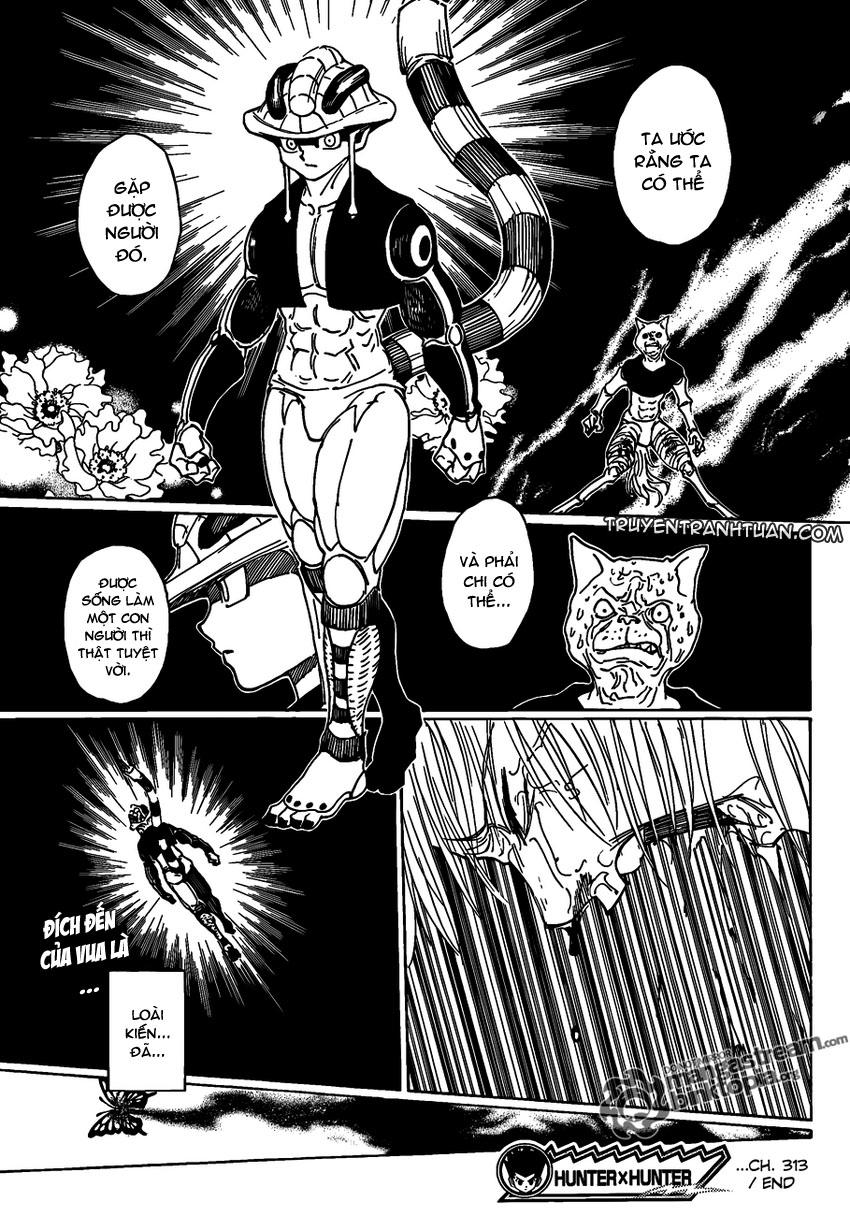 Hunter x Hunter  Chap 313 - Next Chap 314