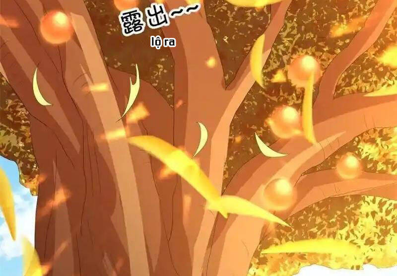 Chiến Hồn Tuyệt Thế Chap 716 - Next Chap 717