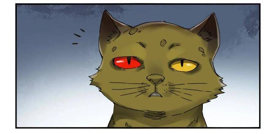 Truyền Võ Chap 160 - Next Chap 161