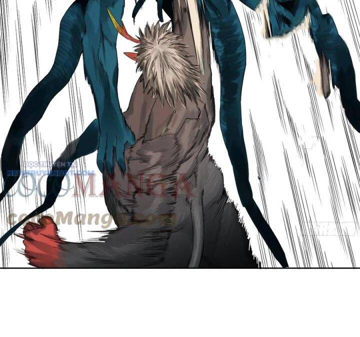 Truyền Võ Chap 293 - Next Chap 294