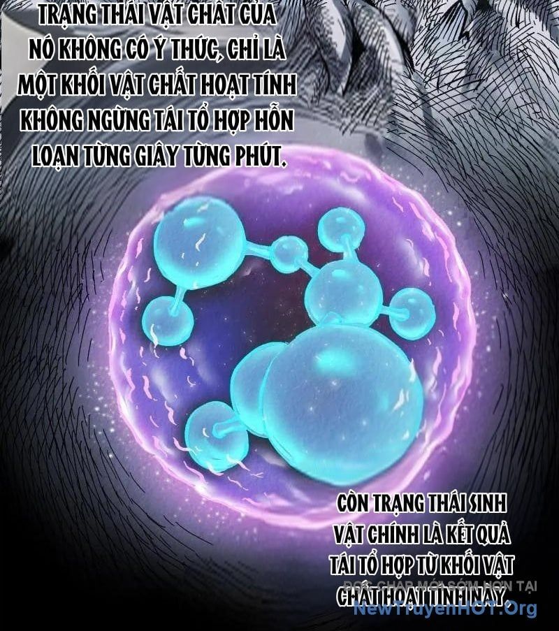 Truyền Võ Chap 480 - Next Chap 481