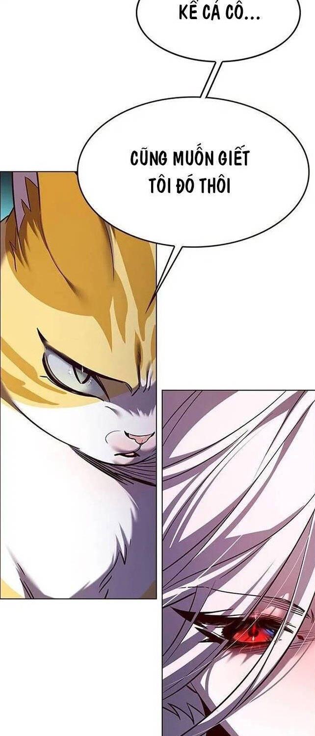 Hoá Thân Thành Mèo Chap 308 - Next Chap 309