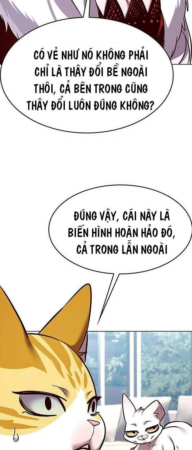 Hoá Thân Thành Mèo Chap 308 - Next Chap 309