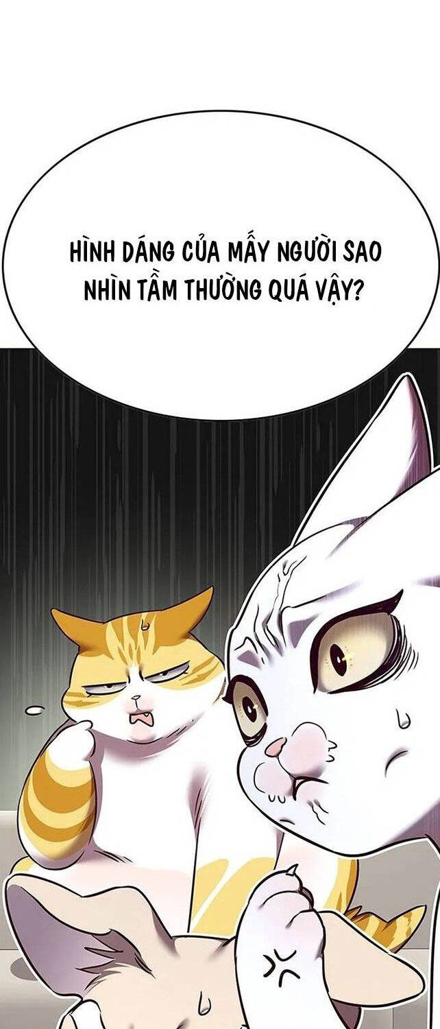 Hoá Thân Thành Mèo Chap 308 - Next Chap 309