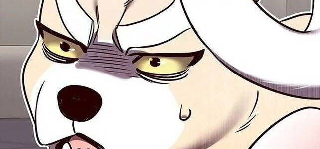 Hoá Thân Thành Mèo Chap 308 - Next Chap 309