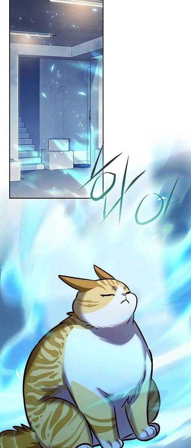 Hoá Thân Thành Mèo Chap 309 - Next Chap 310