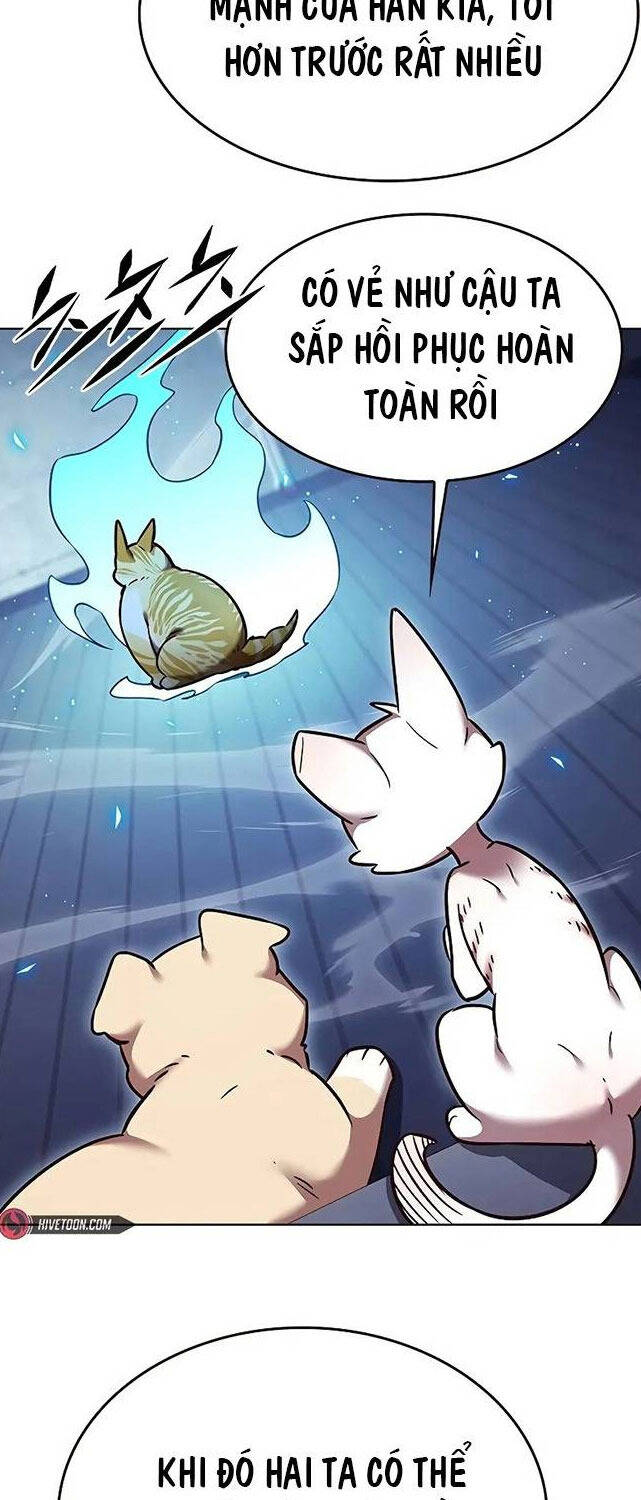 Hoá Thân Thành Mèo Chap 309 - Next Chap 310