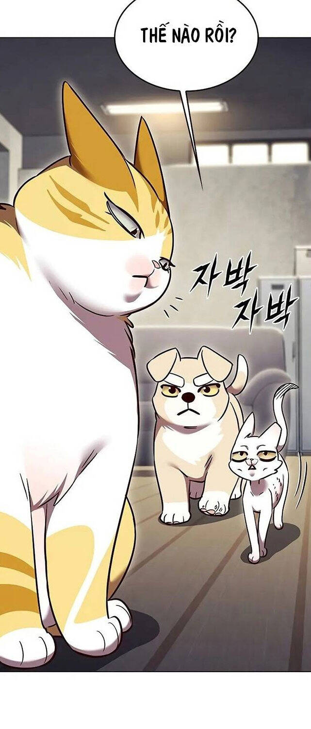 Hoá Thân Thành Mèo Chap 309 - Next Chap 310