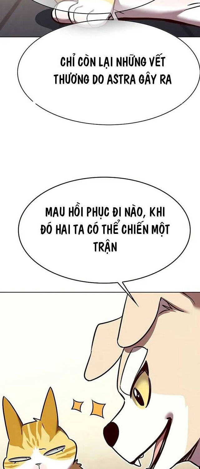 Hoá Thân Thành Mèo Chap 309 - Next Chap 310