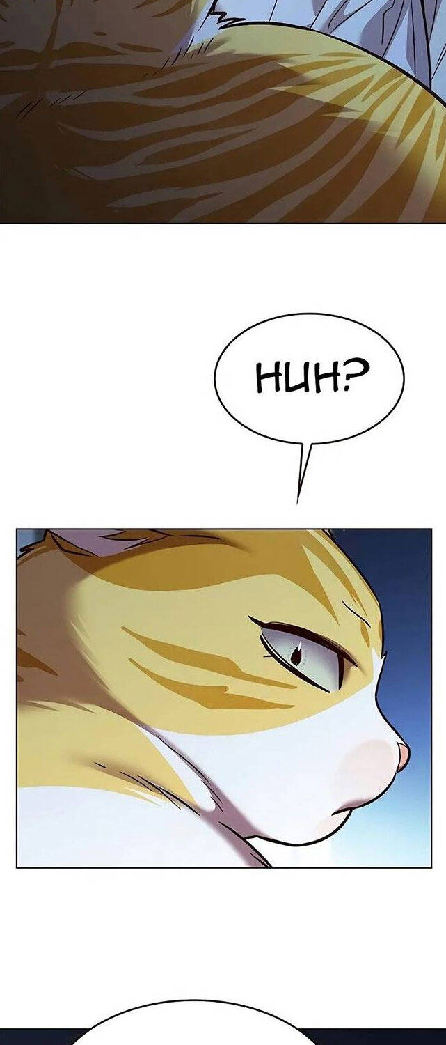 Hoá Thân Thành Mèo Chap 309 - Next Chap 310