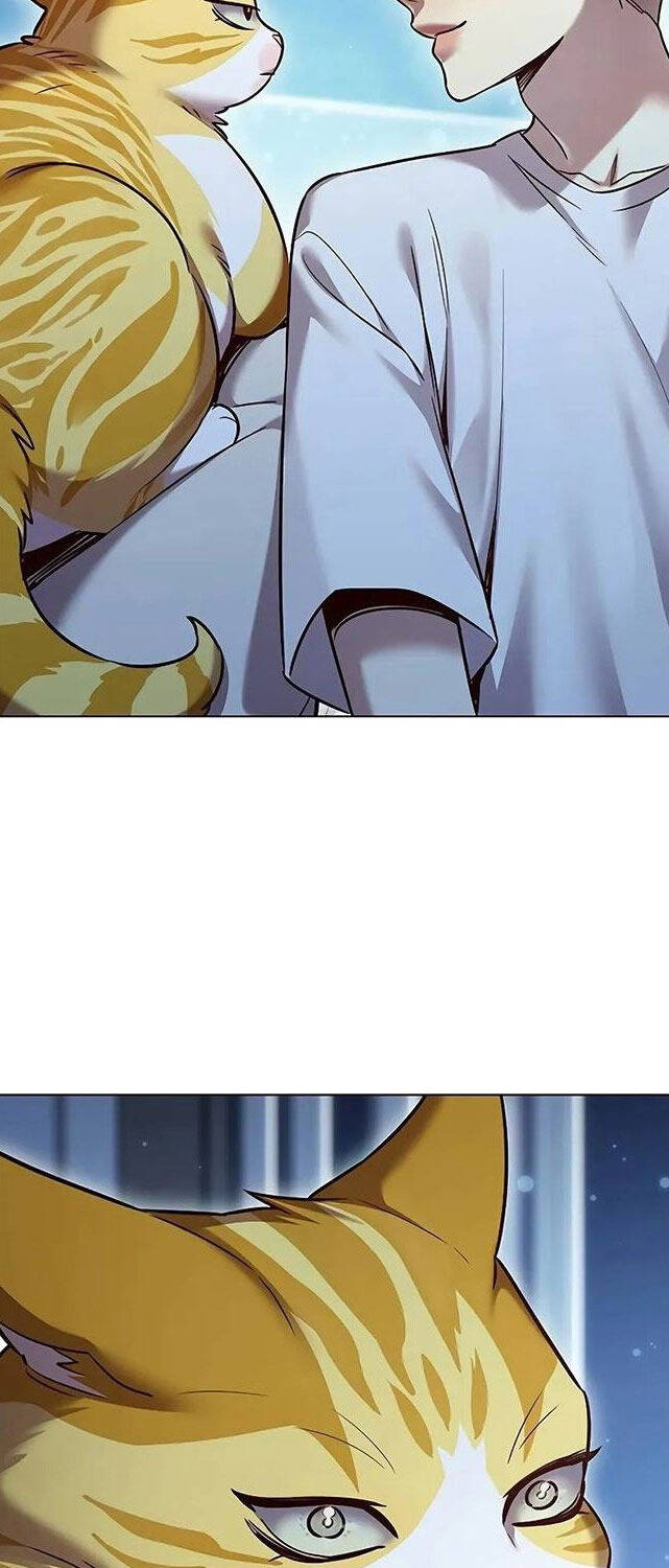 Hoá Thân Thành Mèo Chap 309 - Next Chap 310