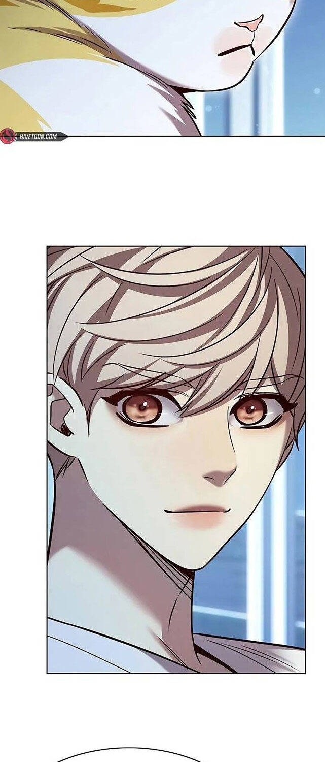 Hoá Thân Thành Mèo Chap 309 - Next Chap 310