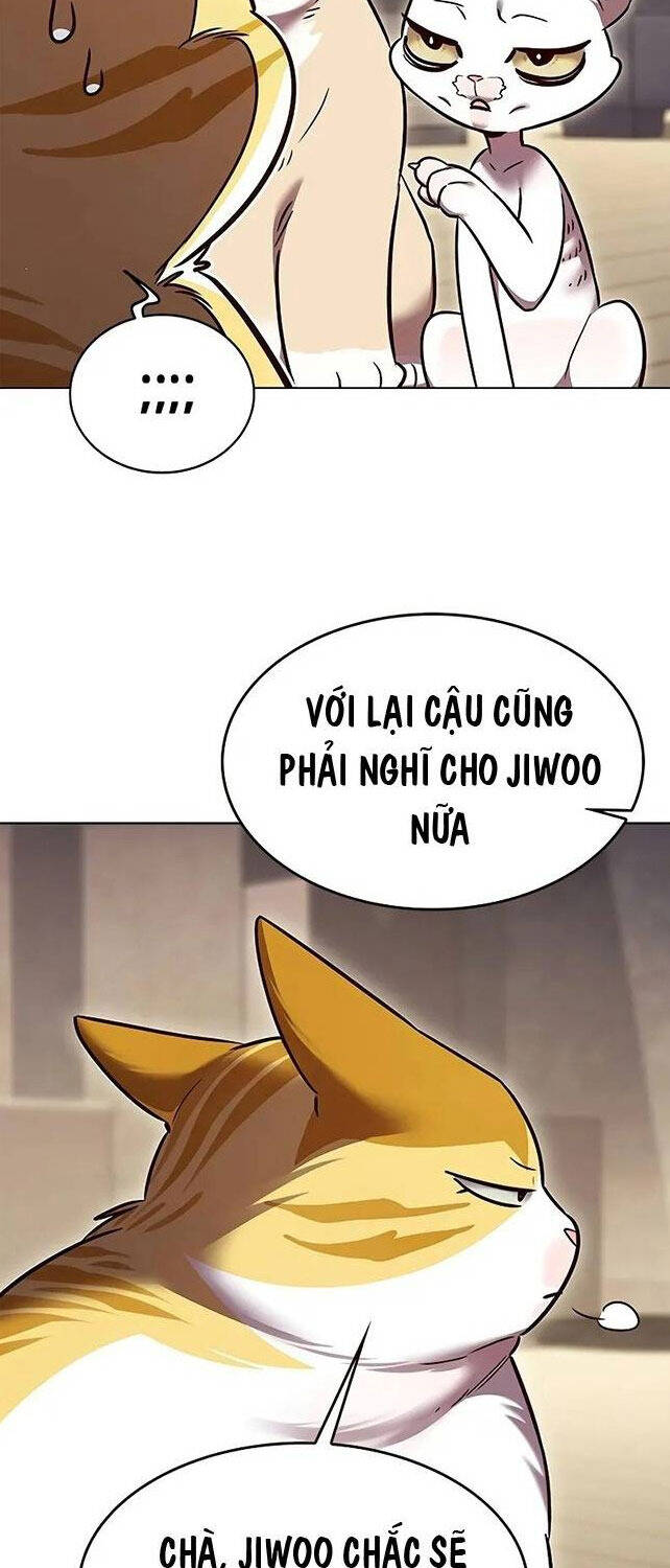 Hoá Thân Thành Mèo Chap 309 - Next Chap 310