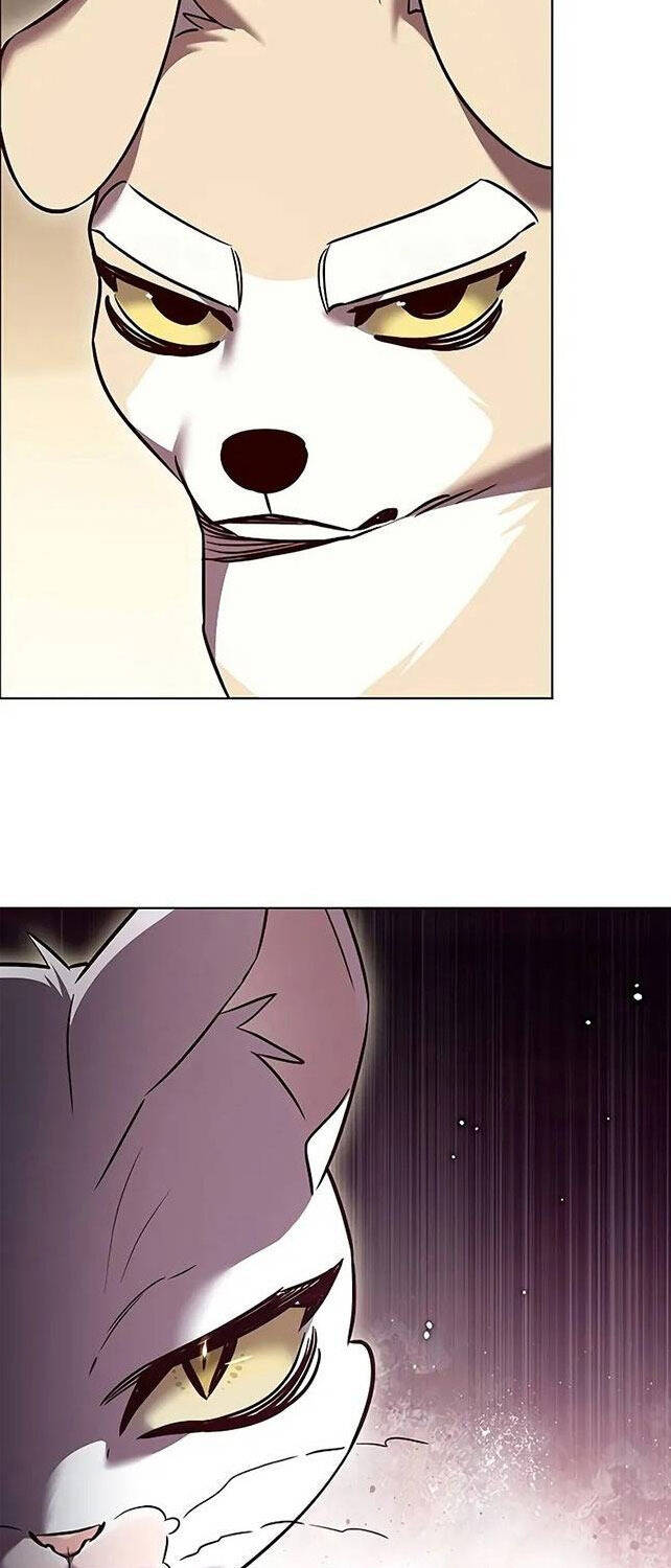 Hoá Thân Thành Mèo Chap 309 - Next Chap 310