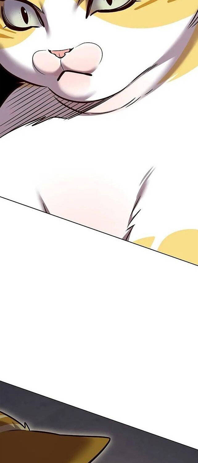 Hoá Thân Thành Mèo Chap 309 - Next Chap 310