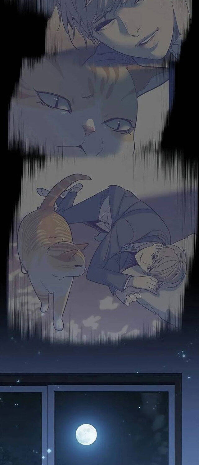 Hoá Thân Thành Mèo Chap 309 - Next Chap 310