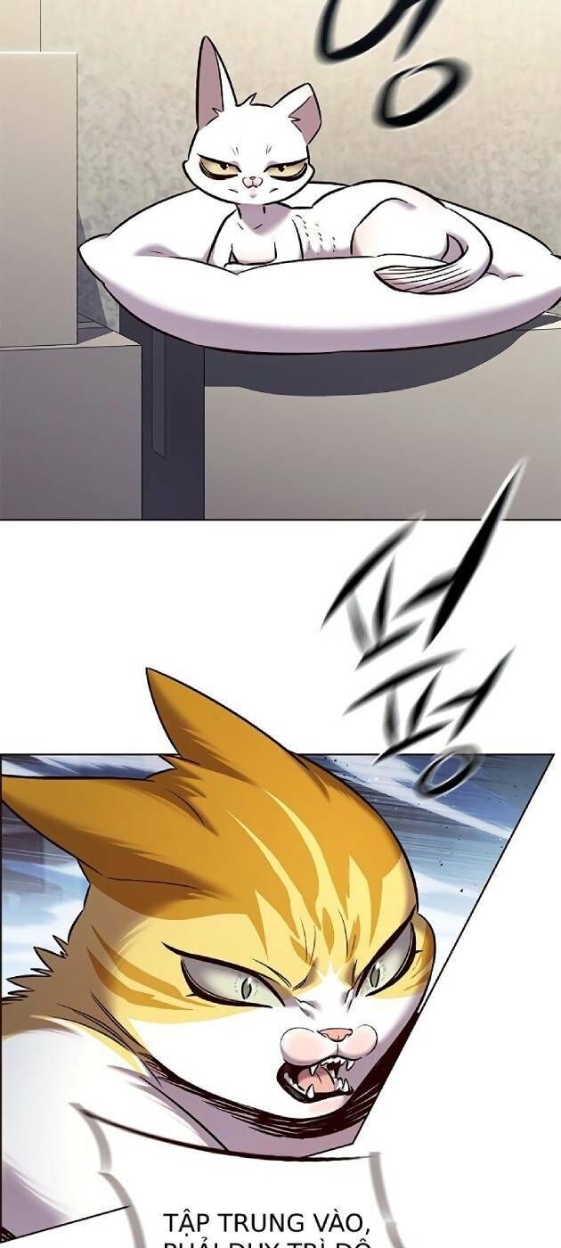 Hoá Thân Thành Mèo Chap 241 - Next Chap 242