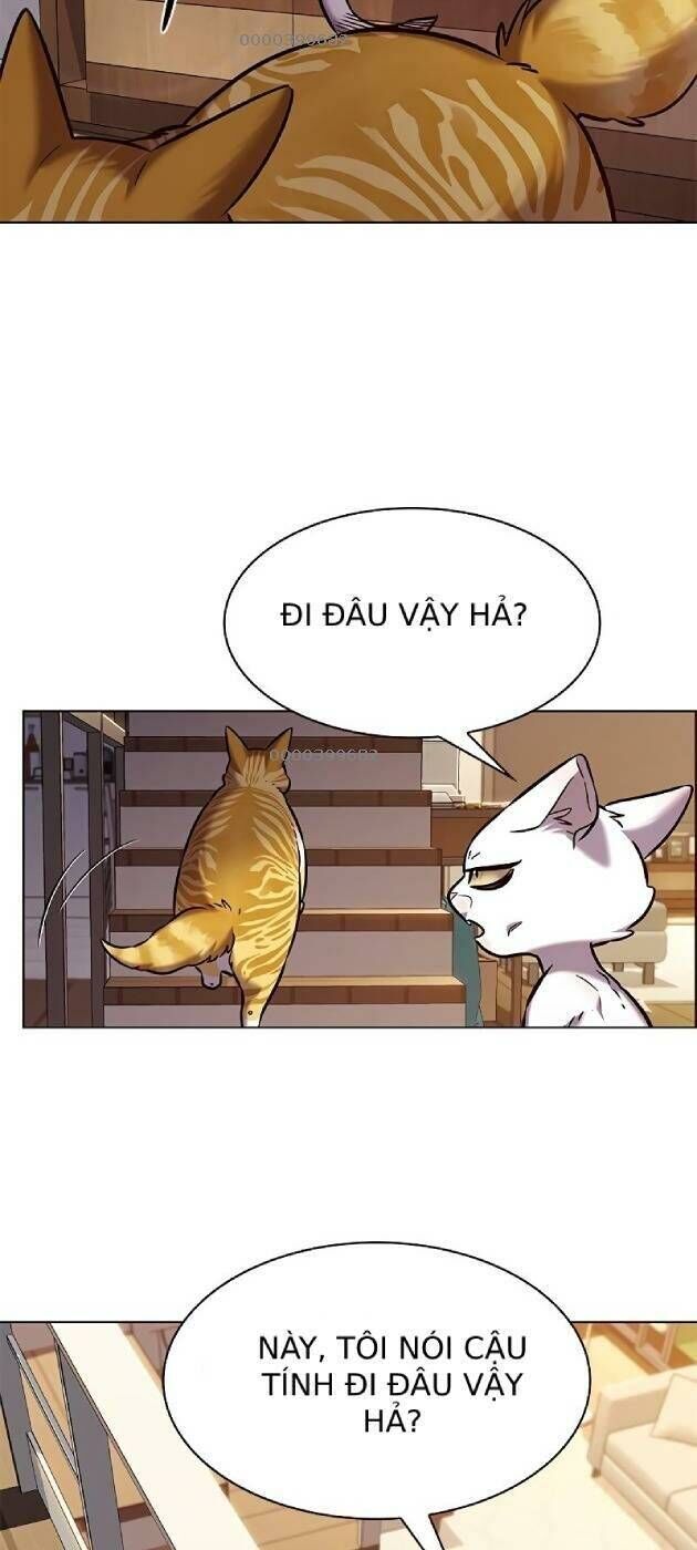 Hoá Thân Thành Mèo Chap 241 - Next Chap 242