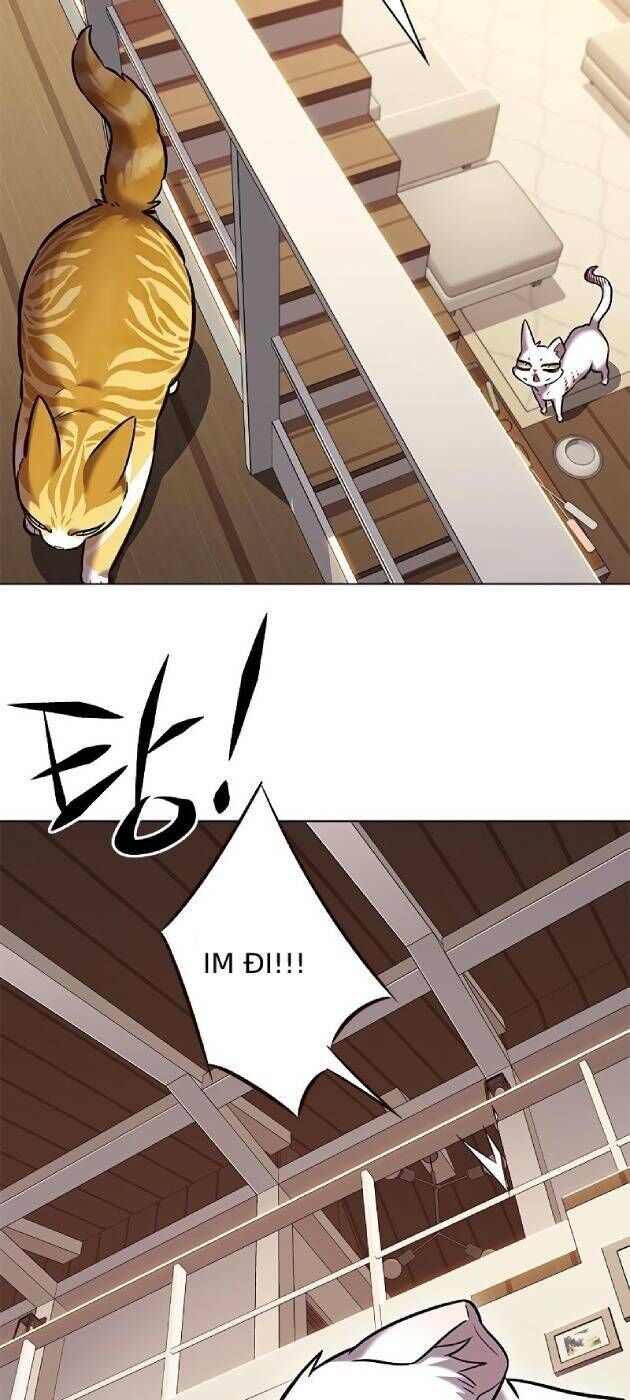 Hoá Thân Thành Mèo Chap 241 - Next Chap 242