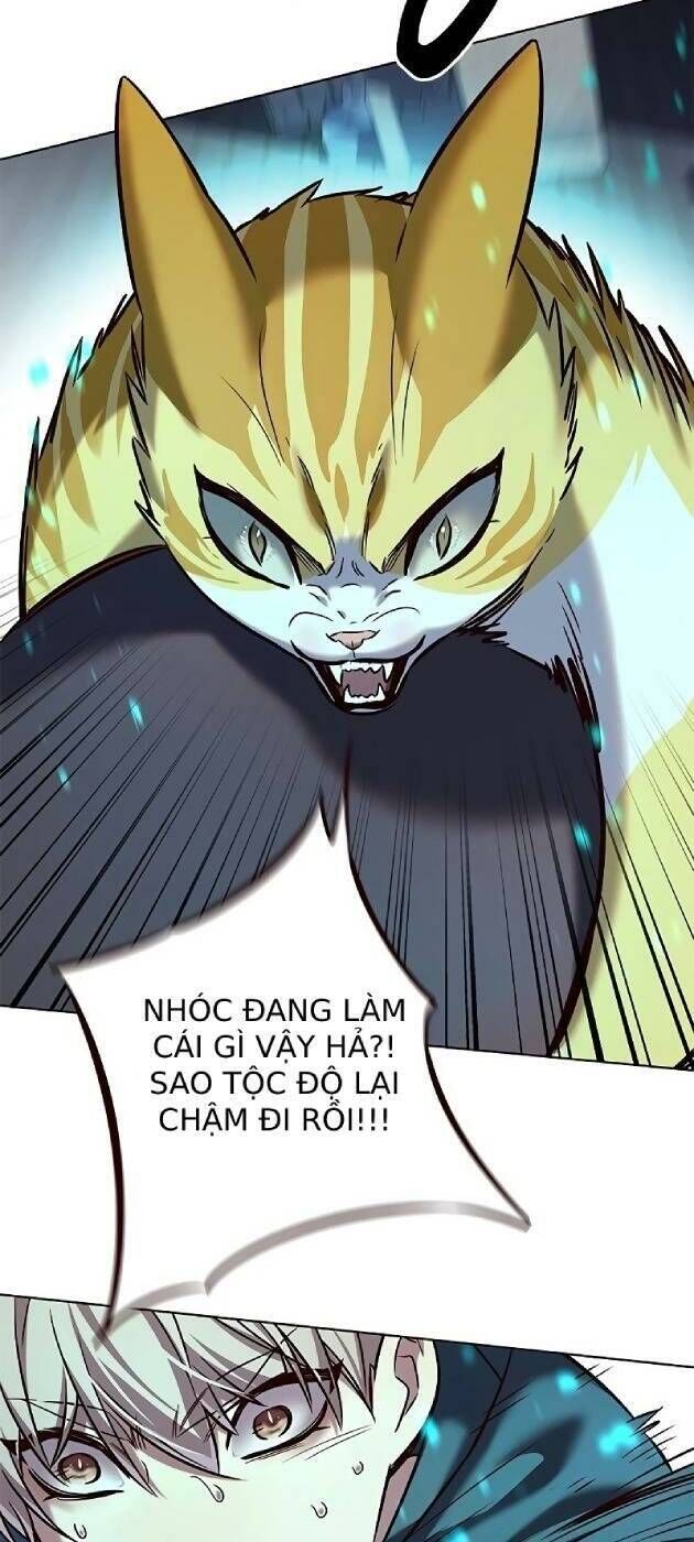 Hoá Thân Thành Mèo Chap 241 - Next Chap 242