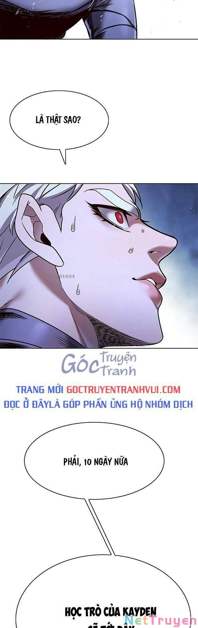 Hoá Thân Thành Mèo Chap 243 - Next Chap 244