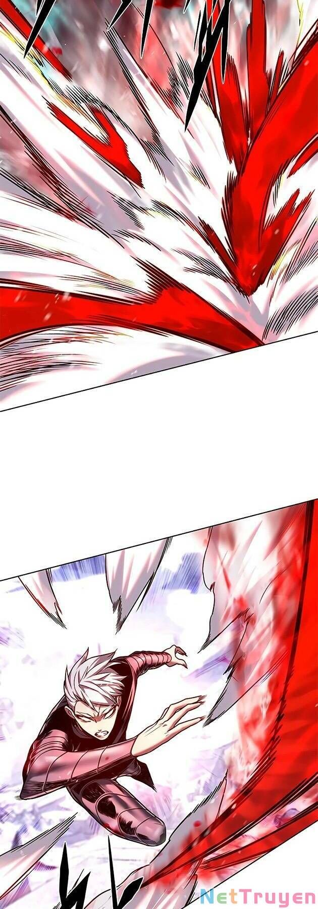 Hoá Thân Thành Mèo Chap 243 - Next Chap 244