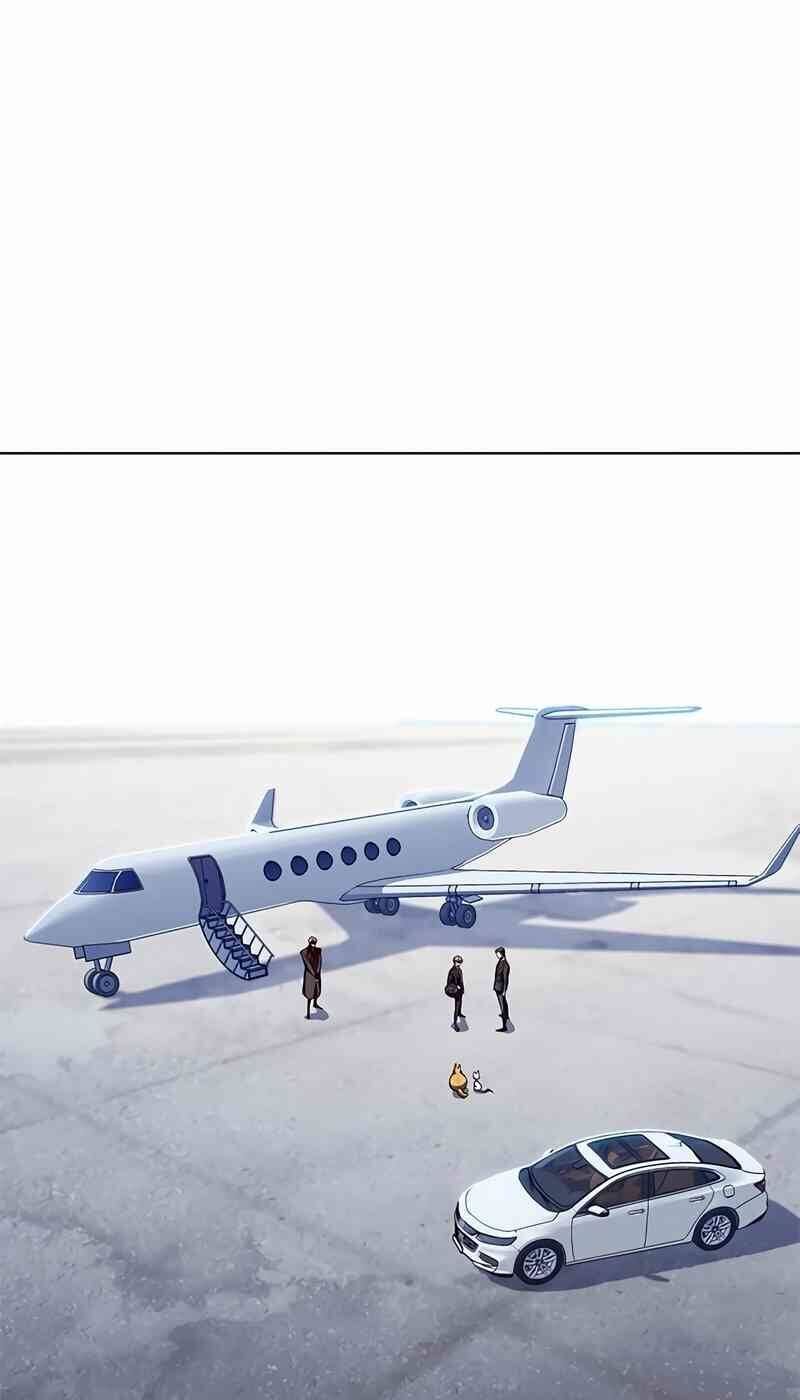 Hoá Thân Thành Mèo Chap 244 - Next Chap 245