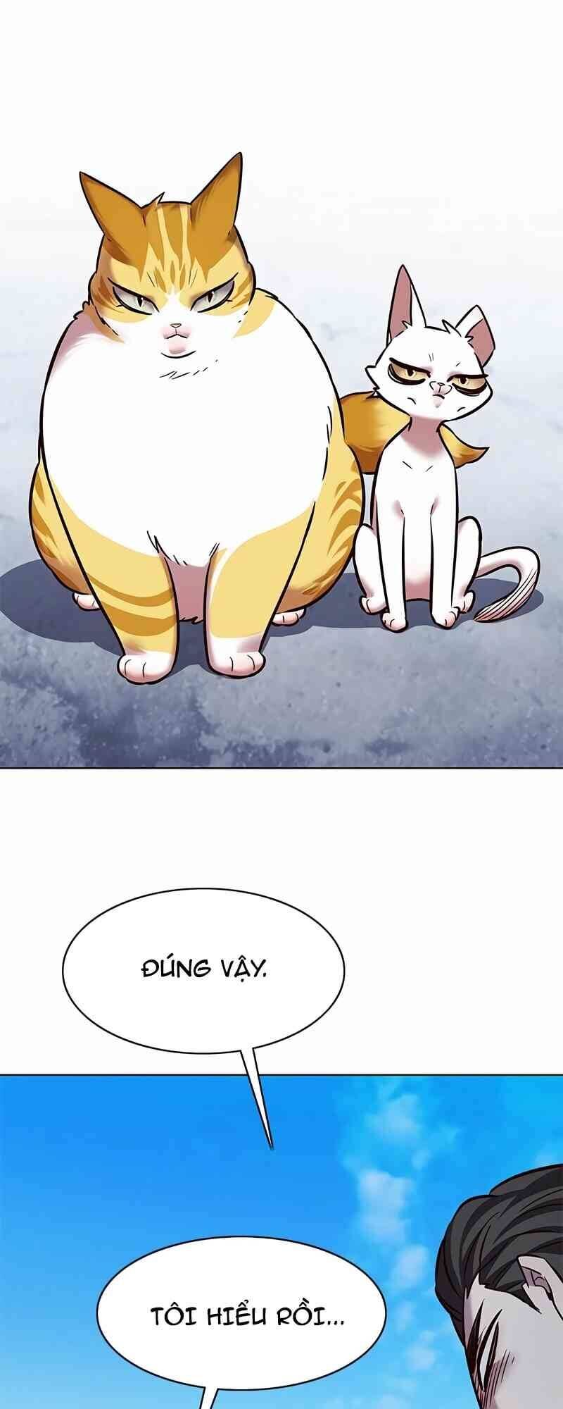 Hoá Thân Thành Mèo Chap 244 - Next Chap 245