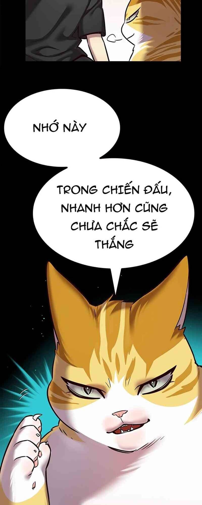 Hoá Thân Thành Mèo Chap 244 - Next Chap 245