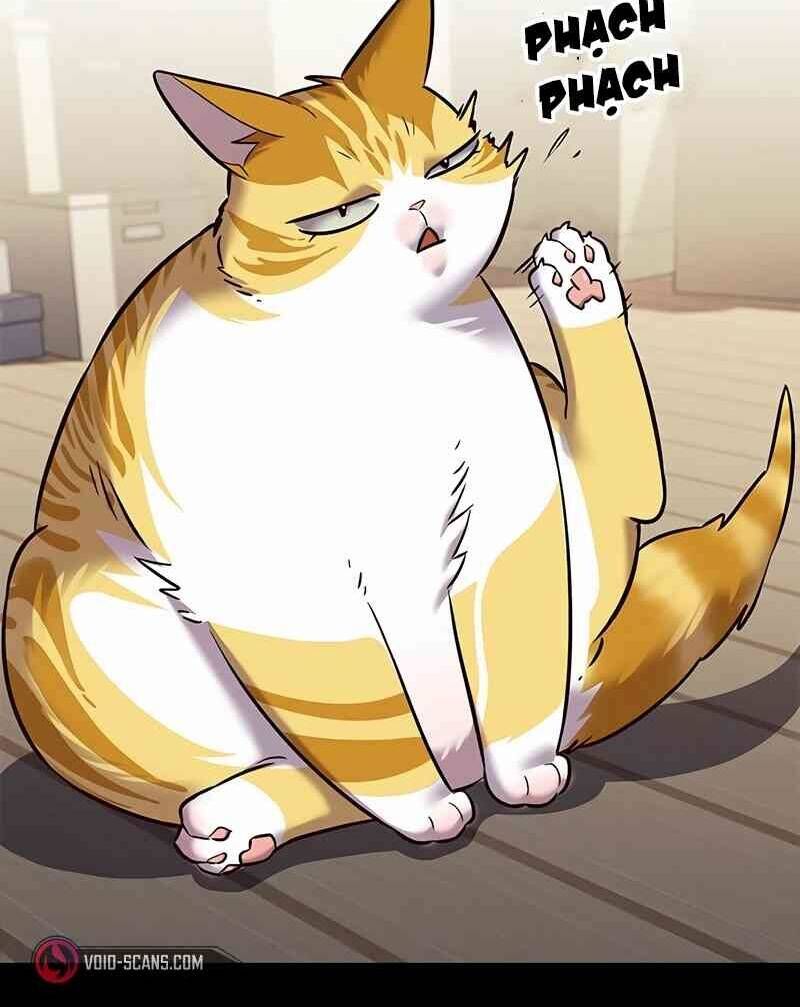 Hoá Thân Thành Mèo Chap 244 - Next Chap 245