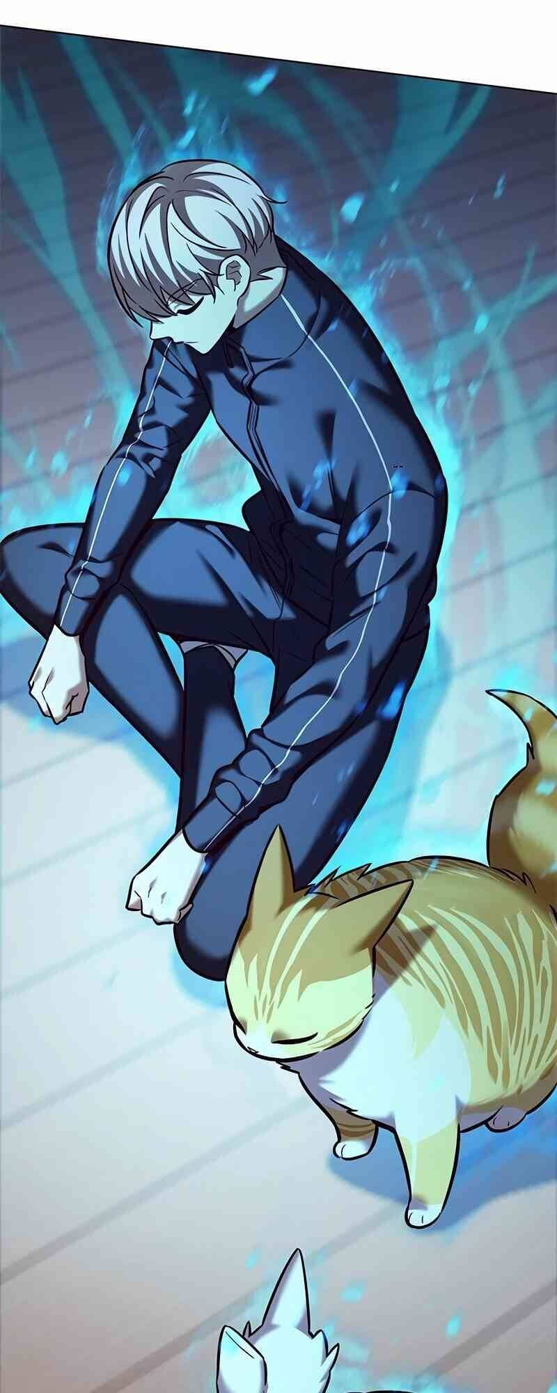 Hoá Thân Thành Mèo Chap 244 - Next Chap 245