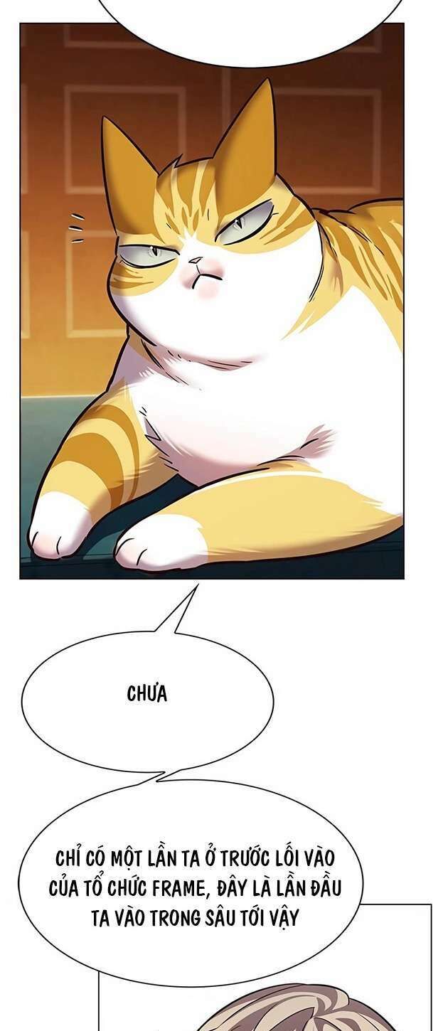 Hoá Thân Thành Mèo Chap 245 - Next Chap 246