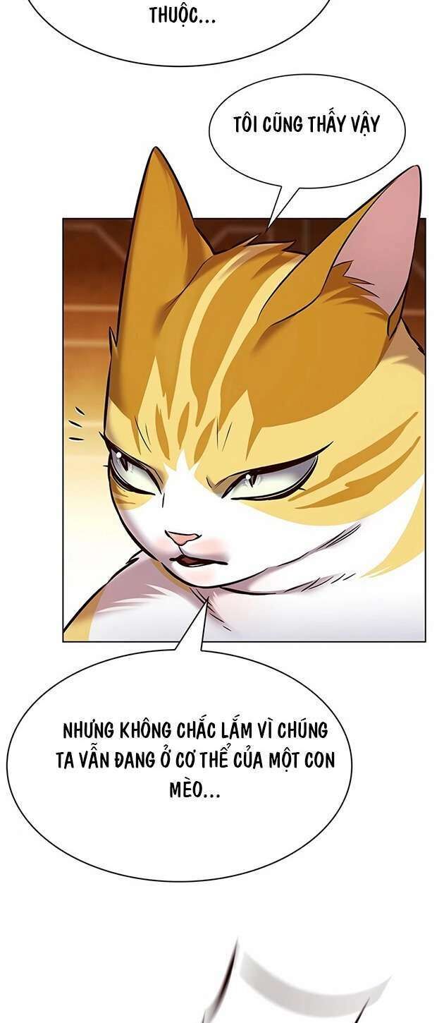 Hoá Thân Thành Mèo Chap 245 - Next Chap 246