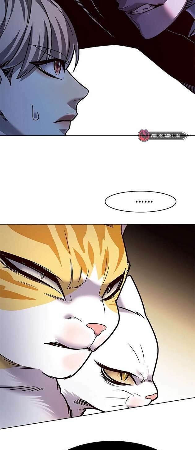 Hoá Thân Thành Mèo Chap 245 - Next Chap 246