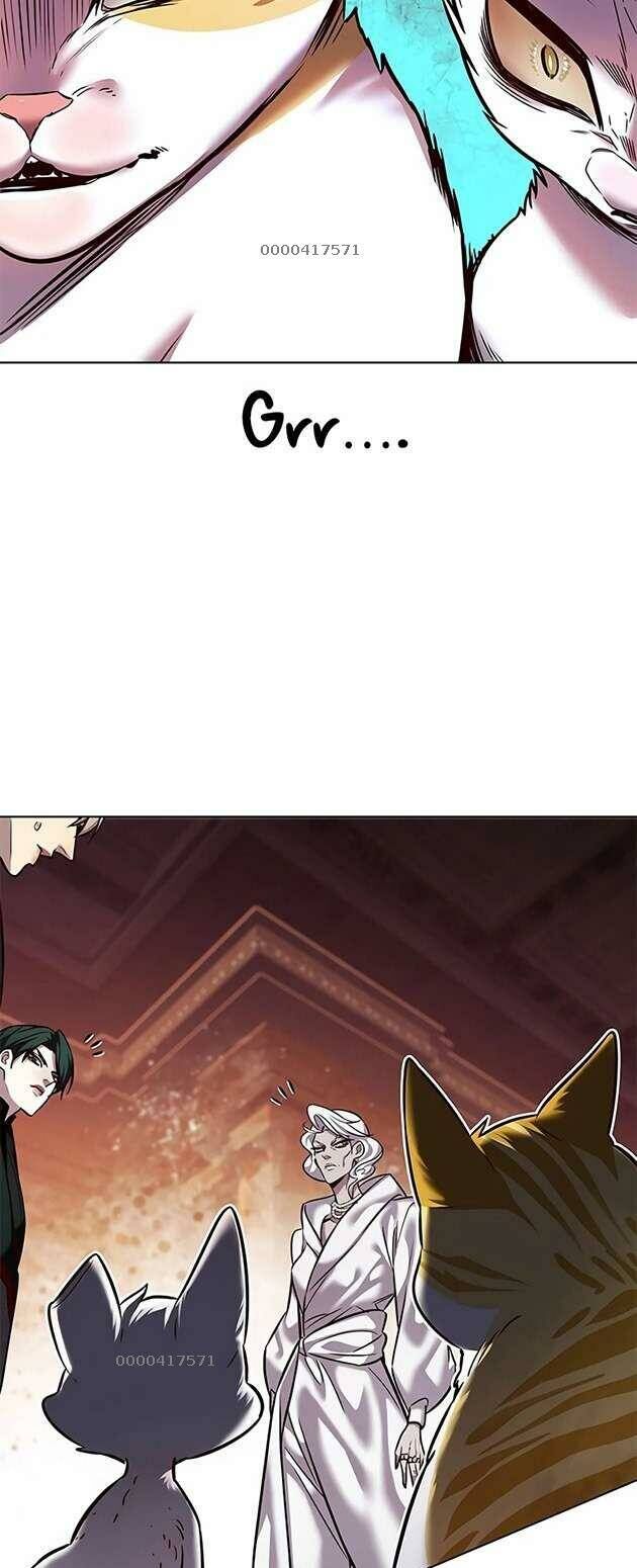 Hoá Thân Thành Mèo Chap 246 - Next Chap 247