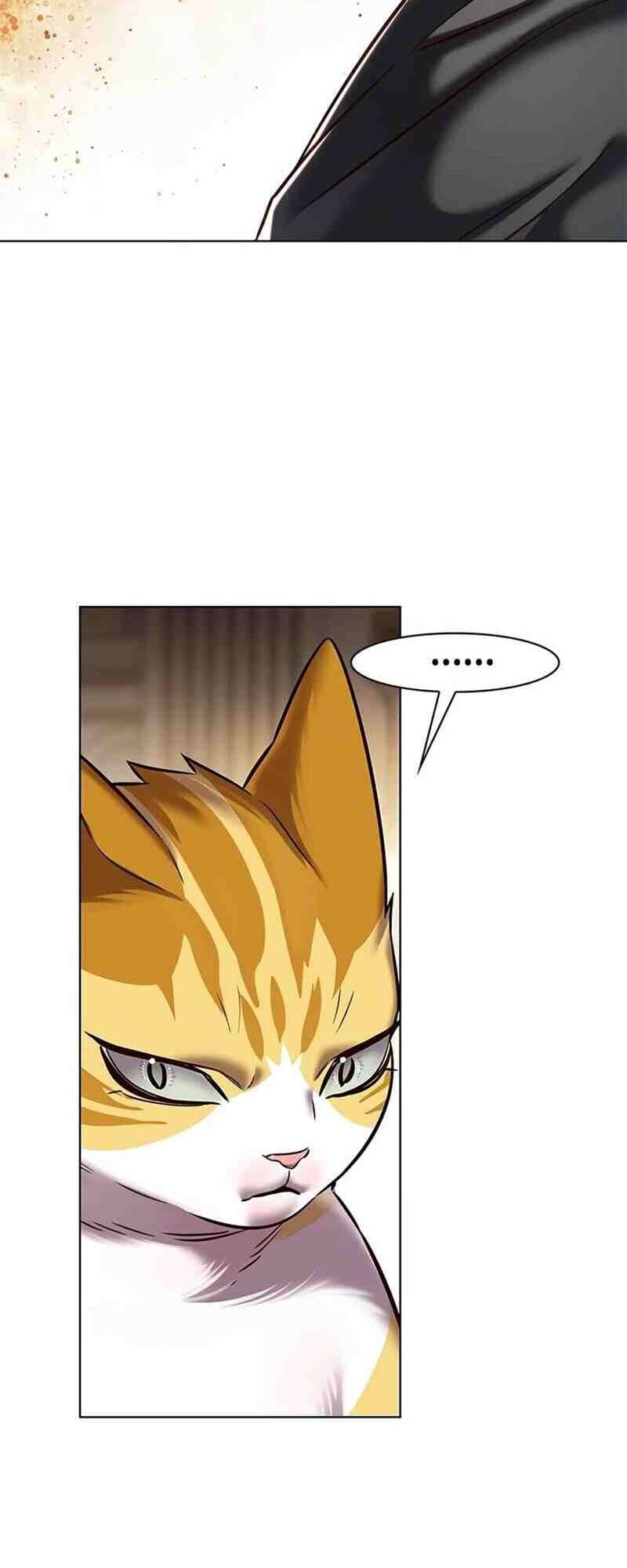 Hoá Thân Thành Mèo Chap 250 - Next Chap 251