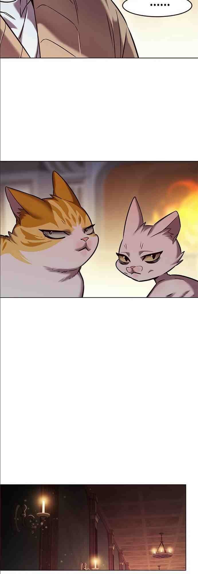 Hoá Thân Thành Mèo Chap 255 - Next Chap 256