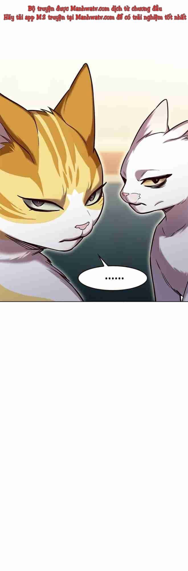 Hoá Thân Thành Mèo Chap 256 - Next Chap 257