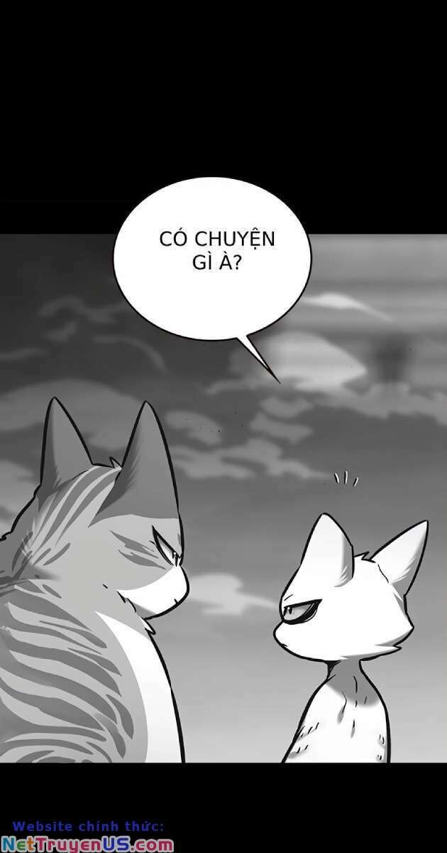 Hoá Thân Thành Mèo Chap 261 - Next Chap 262