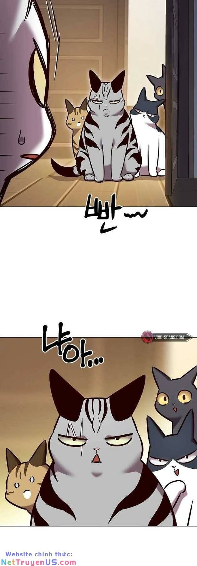 Hoá Thân Thành Mèo Chap 262 - Next Chap 263