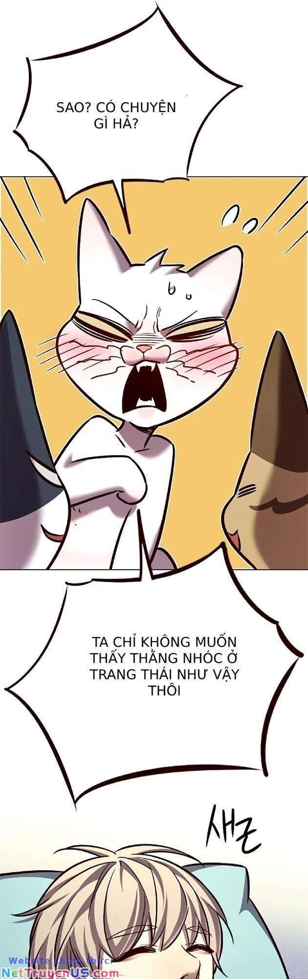 Hoá Thân Thành Mèo Chap 262 - Next Chap 263