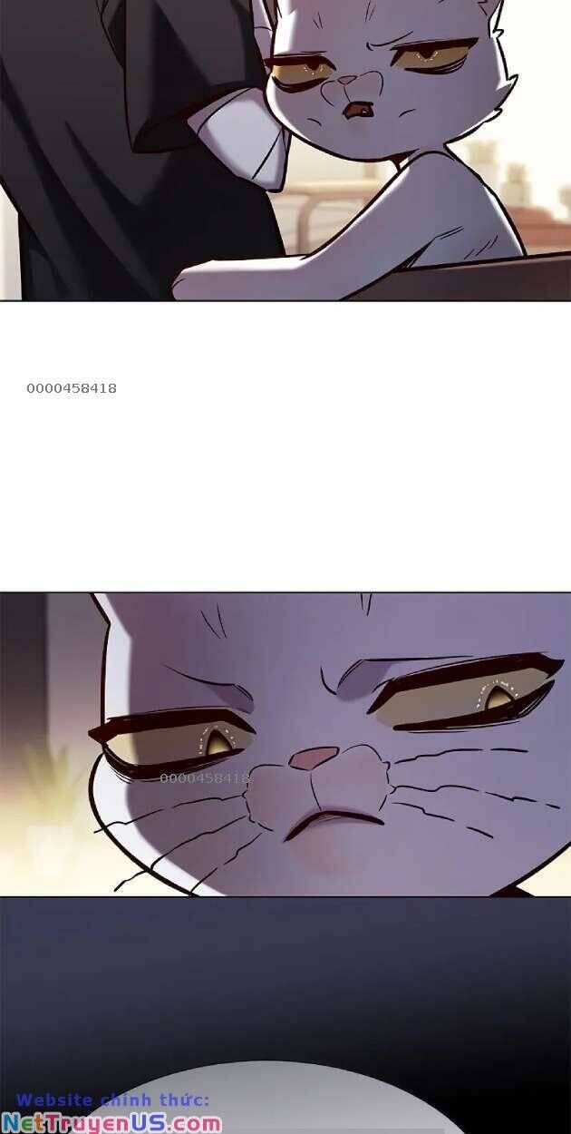 Hoá Thân Thành Mèo Chap 263 - Next Chap 264