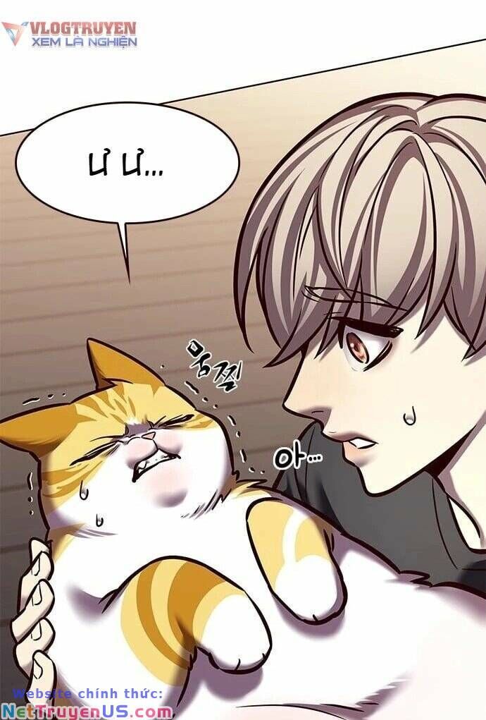 Hoá Thân Thành Mèo Chap 275 - Next Chap 276