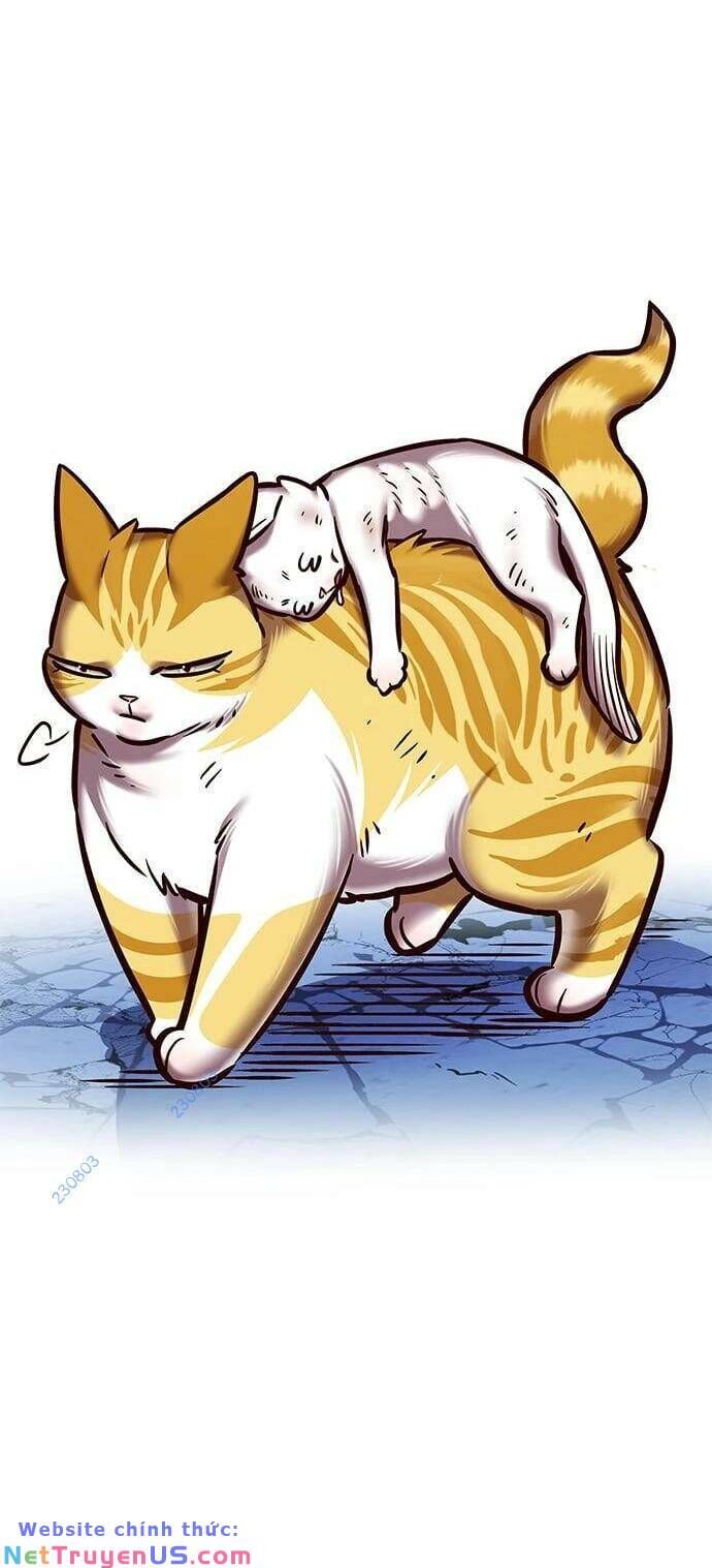 Hoá Thân Thành Mèo Chap 275 - Next Chap 276