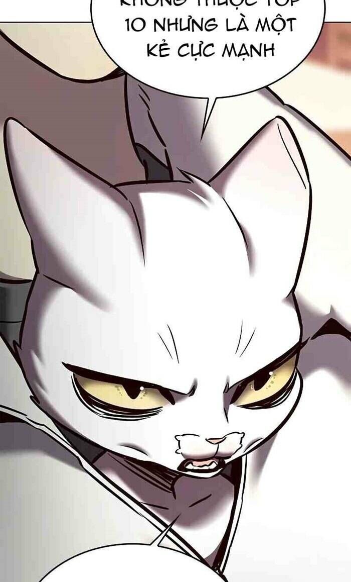 Hoá Thân Thành Mèo Chap 277 - Next Chap 278