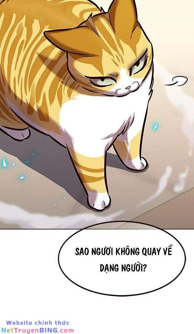 Hoá Thân Thành Mèo Chap 278 - Next Chap 279