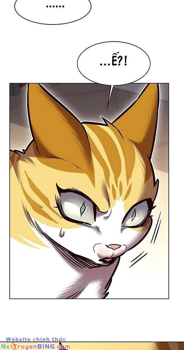 Hoá Thân Thành Mèo Chap 278 - Next Chap 279